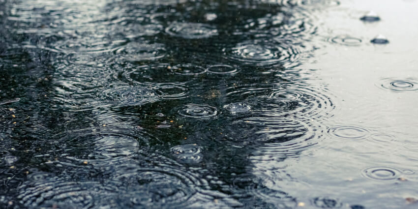 雨は これからを語る
